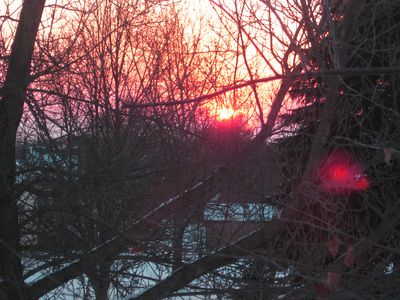 sunrise_feb24.jpg