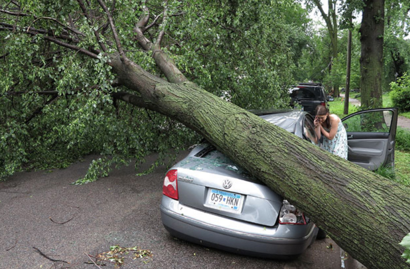 Megan Kellerman of Minneapolis uses her cellphone on Saturday, June 22, 2013 while it charges off the battery of her car, which was crushed by a fallen tree on Humbolt Avenue near 33rd Street in Minneapolis.  (MPR Photo/Hart Van Denburg)