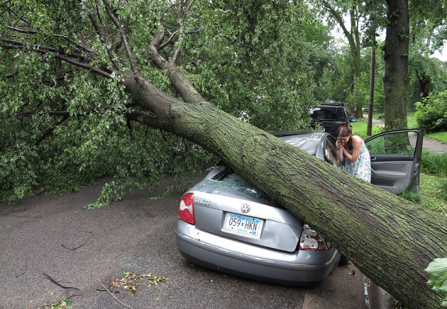 Megan Kellerman of Minneapolis uses her cellphone on Saturday, June 22, 2013 while it charges off the battery of her car, which was crushed by a fallen tree on Humbolt Avenue near 33rd Street in Minneapolis. Numerous large, old trees were uprooted in this neighborhood east of Lake Calhoun and south of Uptown after powerful overnight storms swept through the Twin Cities. Hart Van Denburg/MPR News 
