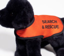 Search-and-rescue dog toy: $19.95