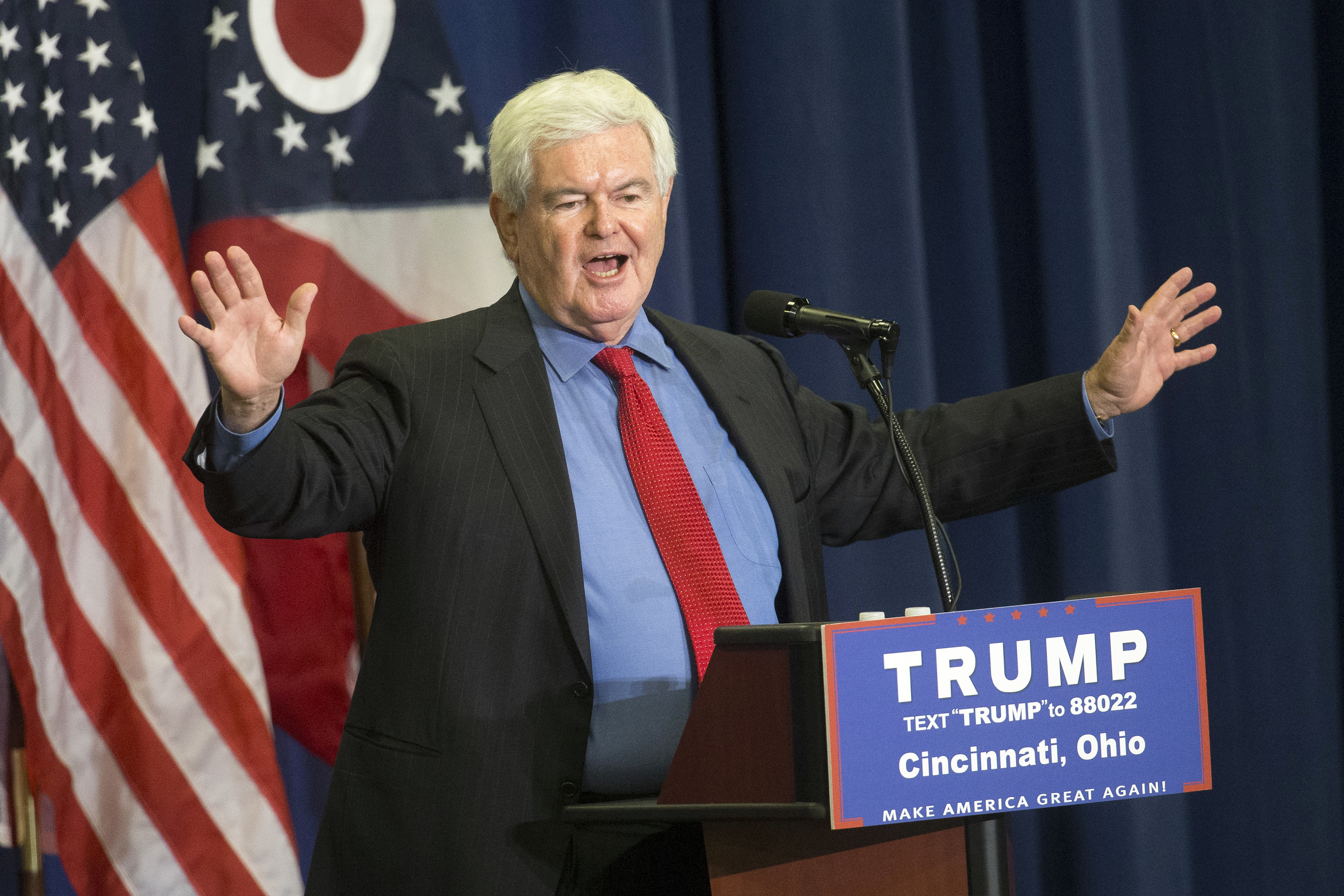 Former House Speaker Newt Gingrich speaks before introducing Republican presidential candidate Donald Trump during a campaign rally at the Sharonville Convention Center, Wednesday, July 6, 2016, in Cincinnati. (AP Photo/John Minchillo)