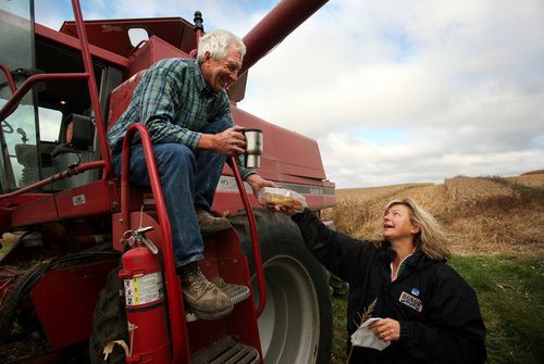 Mena Kaehler brings a plate of cookies to her brother in law, Ed, who is harvesting corn on property he rents from the Kaehlers. Photo: Jeffrey Thompson | MPR News | File