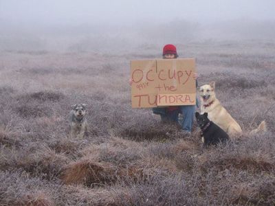occupy_tundra.jpg